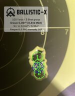 Ballistic-X-Export-2022-08-18 21_19_05.222141.jpg