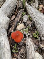 IMG_9503.jpeg