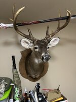 IMG_0305.jpeg