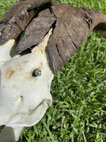 IMG_0119.jpeg