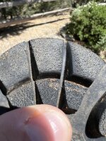 IMG_1712.jpeg