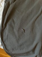 IMG_3168.jpeg