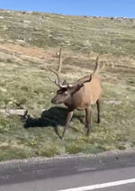 IMG_4881.jpeg