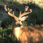 IMG_6066.jpeg
