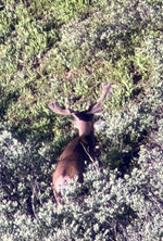 IMG_6067.jpeg