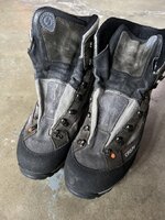 IMG_8650.jpeg