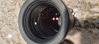 20230620_161140.jpg 20230620_161140.jpg