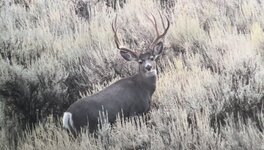 75AEEEF8-2D91-4C11-9C18-0DE66620871E.jpeg 75AEEEF8-2D91-4C11-9C18-0DE66620871E.jpeg