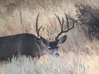 200AFE64-A6A6-472A-B711-AC54C5D4CA49.jpeg 200AFE64-A6A6-472A-B711-AC54C5D4CA49.jpeg