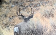 53276E37-CCFA-4C5A-8CCE-A72D9DA6041F.jpeg 53276E37-CCFA-4C5A-8CCE-A72D9DA6041F.jpeg