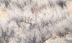 F4170B44-24DF-4814-A0A2-1340F06CF191.jpeg F4170B44-24DF-4814-A0A2-1340F06CF191.jpeg