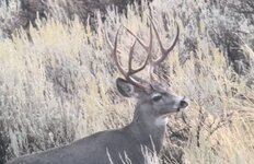 6F991675-01B3-419B-B33C-8C318F461C44.jpeg 6F991675-01B3-419B-B33C-8C318F461C44.jpeg