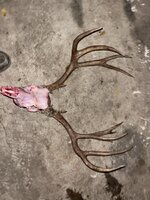 CBA1207D-EE8B-4247-BF03-FD01CB958383.jpeg CBA1207D-EE8B-4247-BF03-FD01CB958383.jpeg