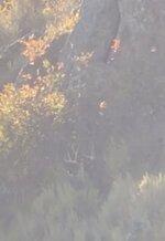 08FCC401-6BF1-49B0-8D51-2289E548164D.jpeg 08FCC401-6BF1-49B0-8D51-2289E548164D.jpeg