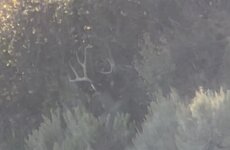 26370A02-F58D-44CA-8F7F-F44726B860D4.jpeg 26370A02-F58D-44CA-8F7F-F44726B860D4.jpeg