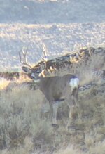 EDA068BF-E59C-453C-803E-E176192C4D76.jpeg EDA068BF-E59C-453C-803E-E176192C4D76.jpeg