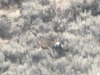 2C78D539-2939-4C0A-A4B1-5CDFFC2847D2.jpeg 2C78D539-2939-4C0A-A4B1-5CDFFC2847D2.jpeg