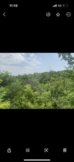 IMG_1402.jpg