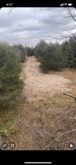 IMG_1400.jpg
