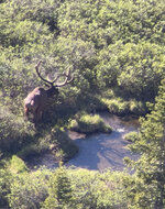 IMG_6082.jpeg