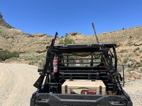 IMG_7911.jpeg