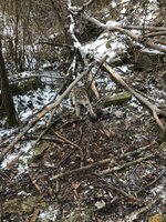 IMG_2216.jpg