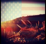 72FA7B37-144C-4320-B4DE-BDCF19B66B0F.jpeg
