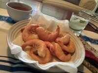 IMG_3032.jpeg