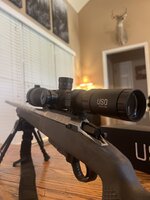 IMG_3343.jpeg