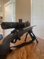 IMG_3344.jpeg