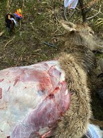 IMG_0226.jpeg IMG_0226.jpeg