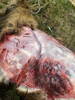 IMG_0232.jpeg IMG_0232.jpeg