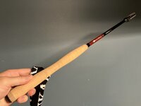 IMG_9910.jpeg IMG_9910.jpeg