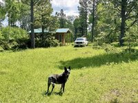 IMG_1031.jpeg