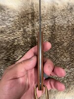 IMG_1869.jpeg