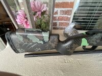 IMG_2758.jpeg