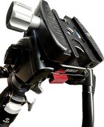 IMG_1098.jpeg IMG_1098.jpeg