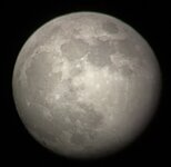 IMG_7213.jpeg