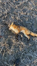 IMG_8826.jpeg