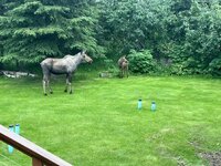 IMG_8290.jpeg