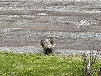 IMG_8293.jpeg
