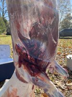 IMG_2561.jpeg