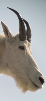 IMG_2120.jpeg