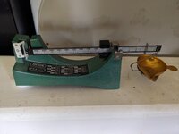 PXL_20230712_232447191.jpg