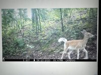 IMG_6083.jpeg