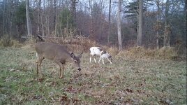 IMG_6099.jpeg
