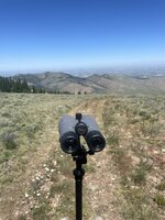IMG_4264.jpeg