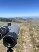 IMG_4263.jpeg
