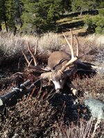 IMG_6742.jpeg