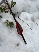 7F73AB30-5F20-4845-AE21-493193408968.jpeg